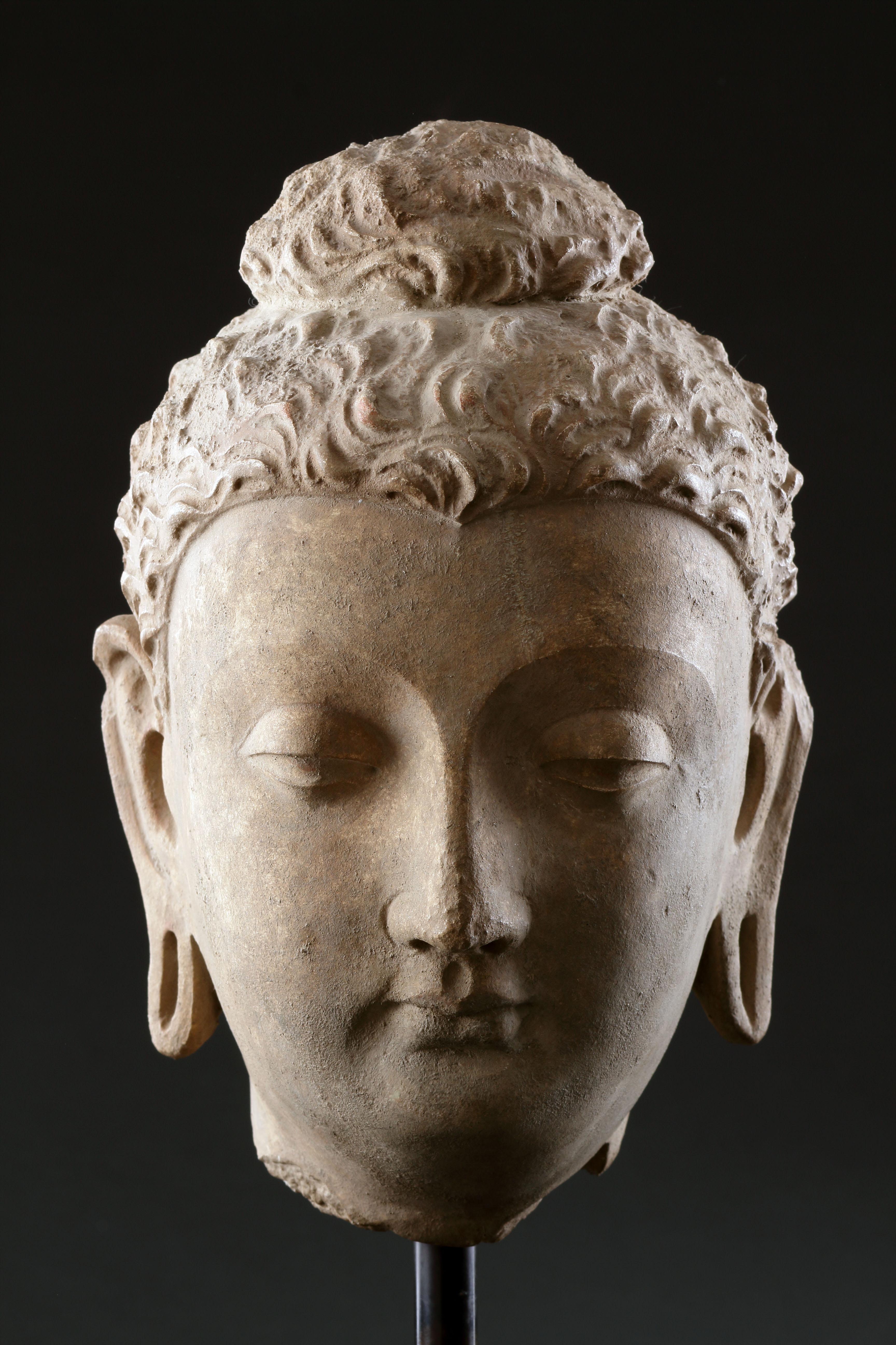 A Fine Gandharan Head of a Buddha 
